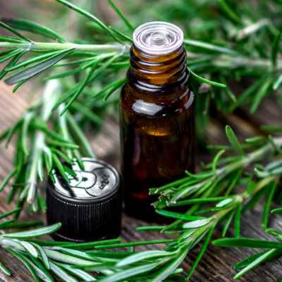 Rosemary Extract